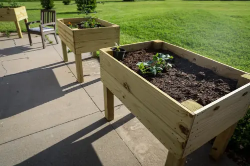 Ridgewood Senior Living raised garden beds on patio